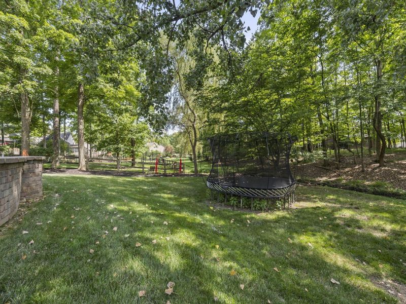 222 Beech Ridge Drive, Powell, OH 43065 Photo 62