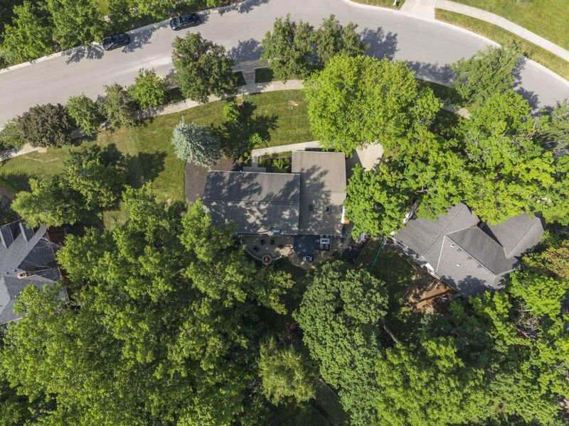 222 Beech Ridge Drive, Powell, OH 43065 Photo 74