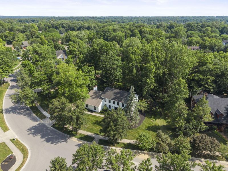 222 Beech Ridge Drive, Powell, OH 43065 Photo 78