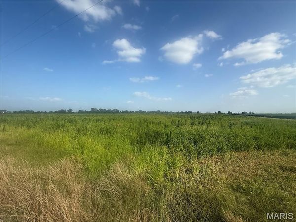 0 County Road 406 , Hayti, MO 63851