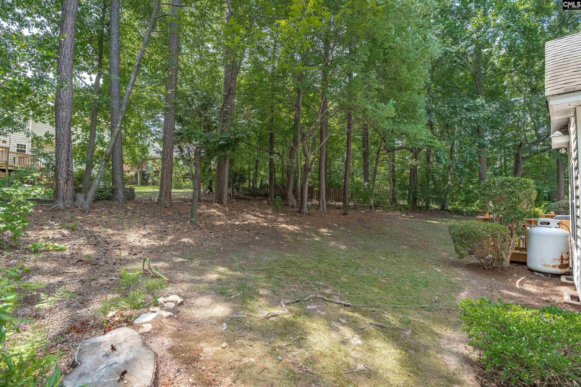 130 Chestnut Woods Lane  Photo 34