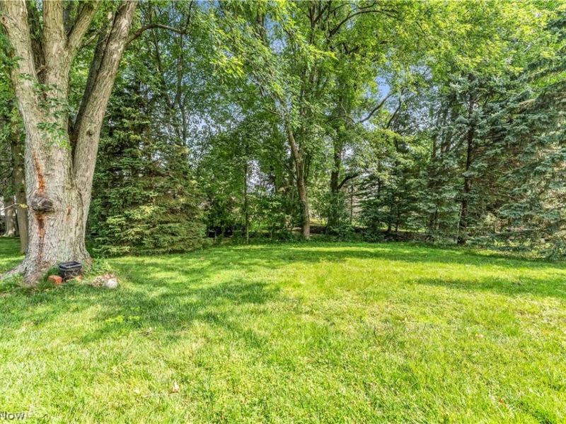 5805 Williamsburg Drive, Highland Heights, OH 44143 Photo 6