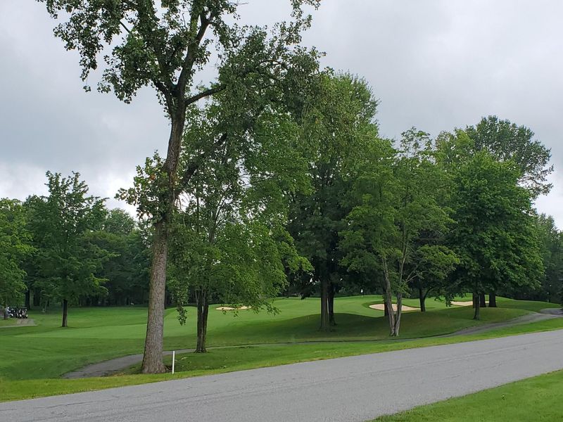 4344 Weybridge Court, Powell, OH 43065 Photo 16