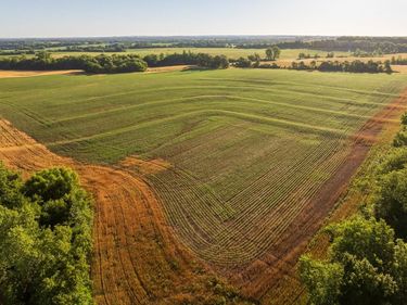 County Road 130 Road, Braymer, MO 64624