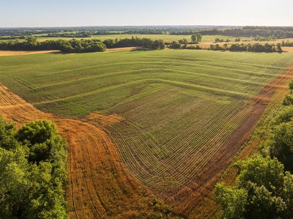 County Road 130 Road, Braymer, MO 64624