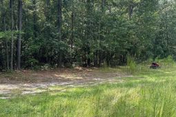 350 Wildwood Lane photo 4