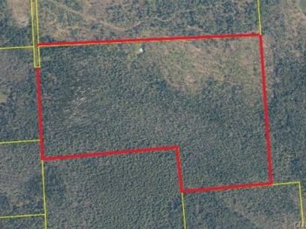 6380 Doyle Road, Martinsburg, NY 13404