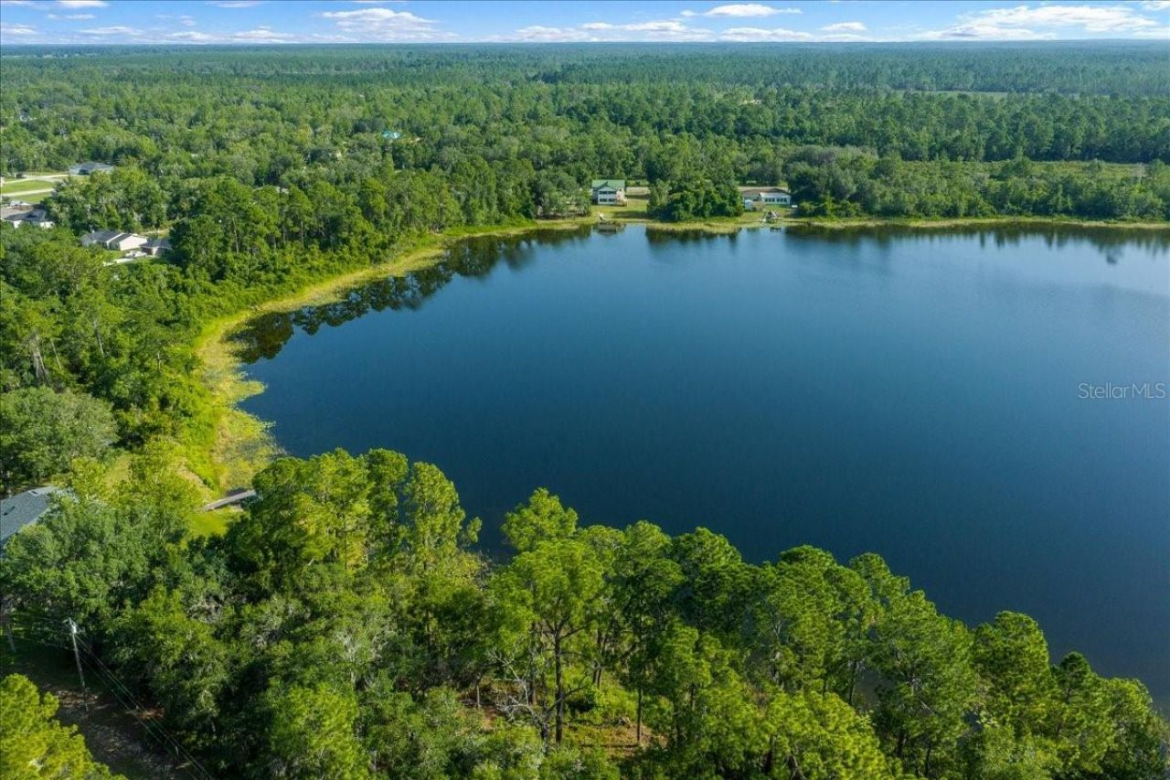 206 Malauka Radial , Ocklawaha, FL 32179 Photo