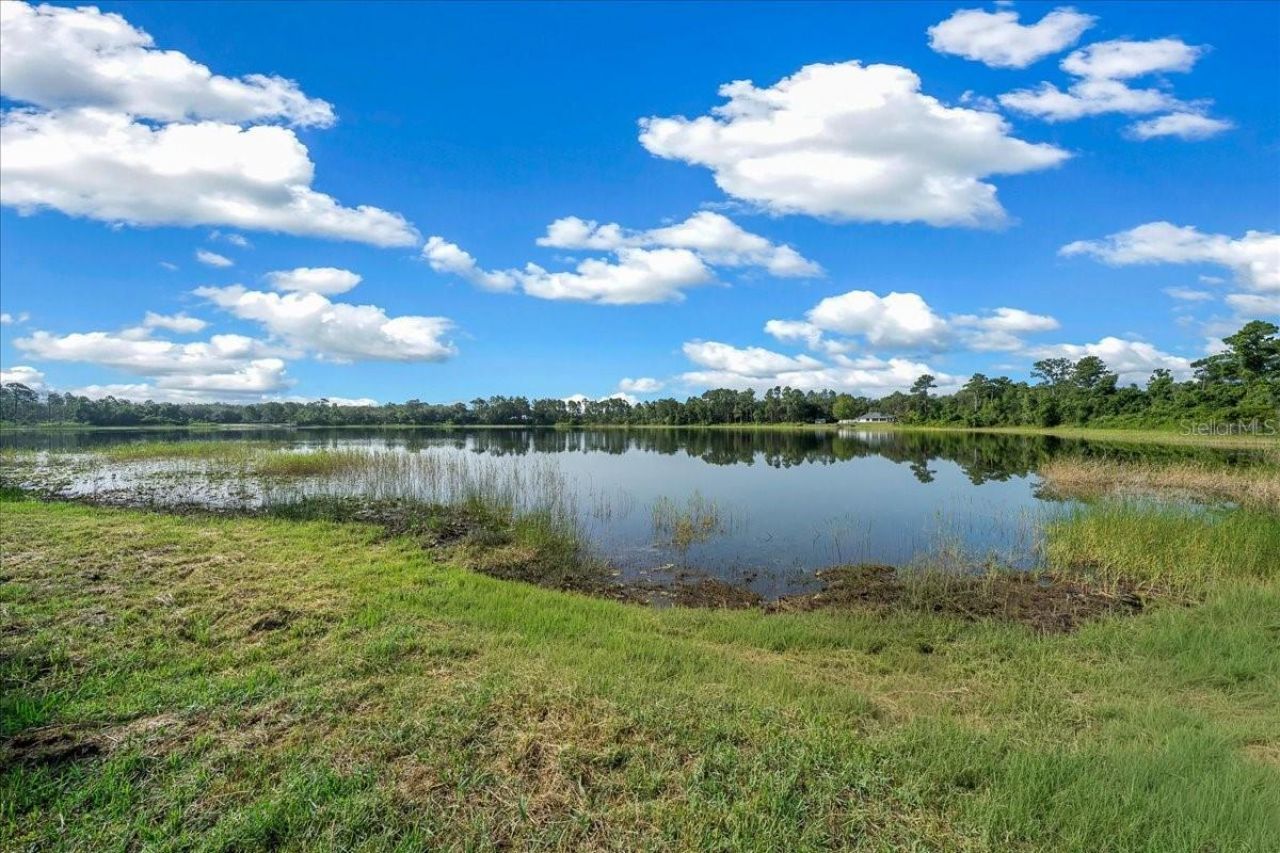 206 Malauka Radial , Ocklawaha, FL 32179 Photo