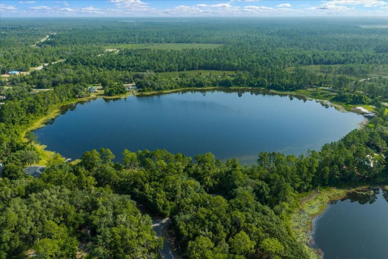206 Malauka Radial , Ocklawaha, FL 32179 Photo
