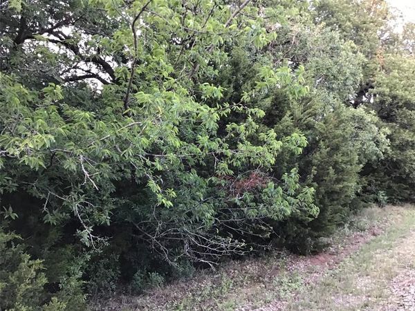44021 Fringewood Drive , Whitney, TX 76692