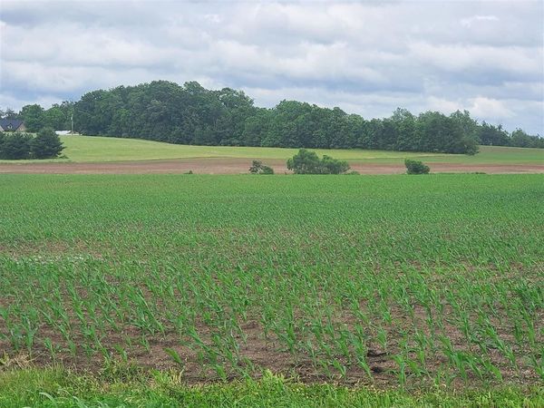 00 Witt Road , Franklin, KY 42134