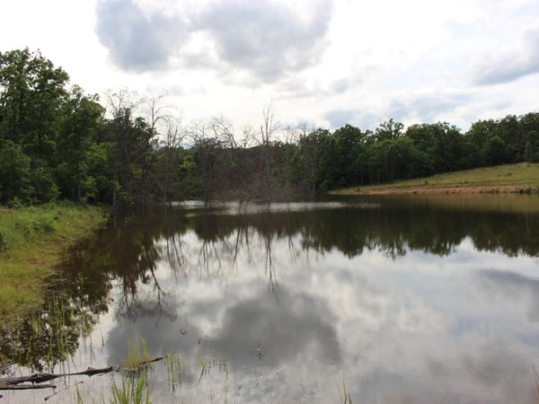 Tbd Kolb Hollow Road , Climax Springs, MO 65324
