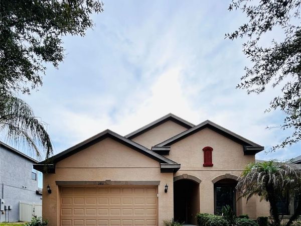2931 SHETLAND RIDGE DRIVE , VALRICO, FL 33596