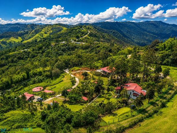 Km 2.5 CARR PR 7737, Cayey, PR 00736