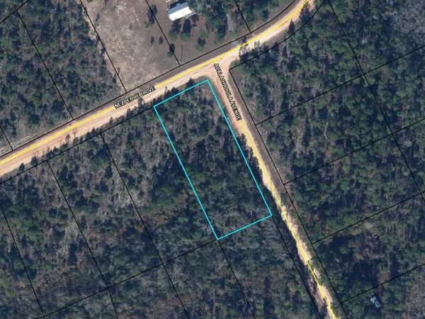 0 Nezperce Drive , Alford, FL 32420