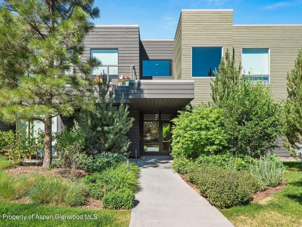 101 Willits Way, Unit 205, Basalt, CO 81621