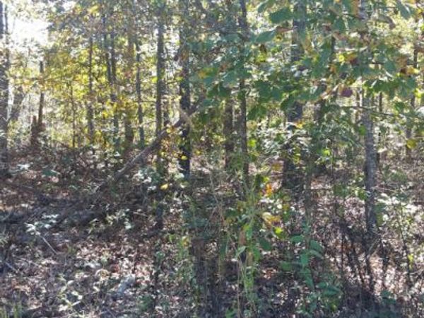 Dunvegan Lane , Bella Vista, AR 72715
