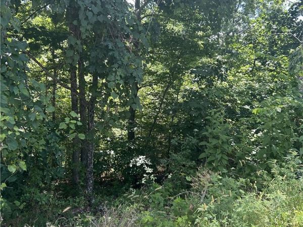 Dunvegan Lane, Bella Vista, AR 72715