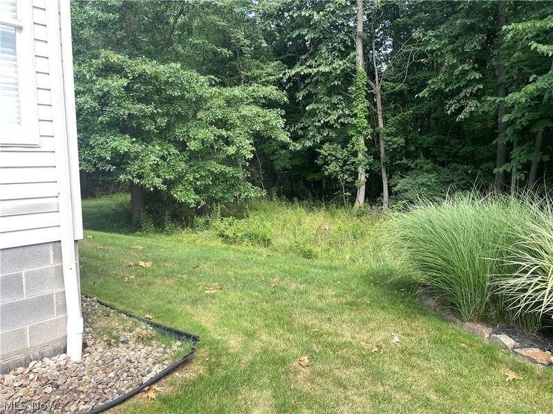 7869 Walnut Street, Boardman, OH 44512 Photo 3