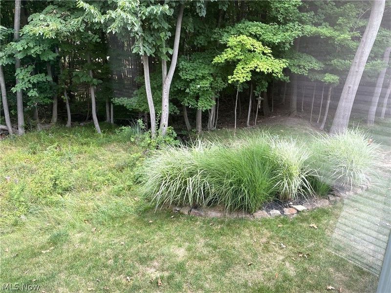 7869 Walnut Street, Boardman, OH 44512 Photo 38