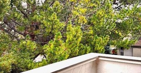 3903 Henry Court, Reno, NV 89509 Photo