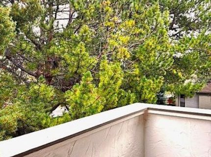 3903 Henry Court, Reno, NV 89509 Photo