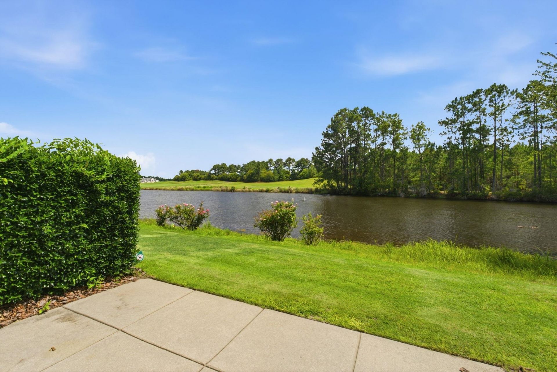 4488 Girvan Dr. Photo 49