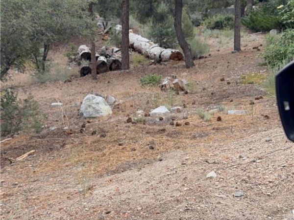 1620 Zion, Pine Mountain Club, CA 93222