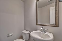647 Marbled Teal Lane photo 4