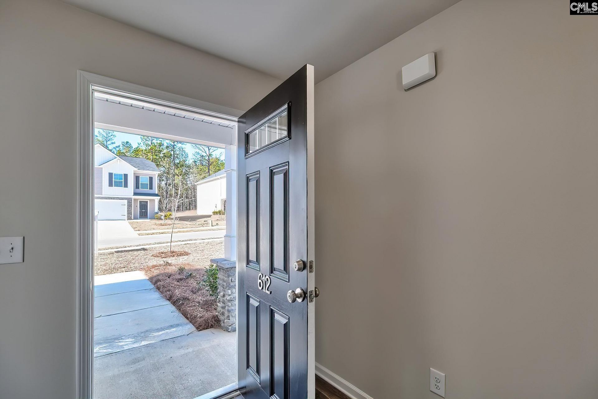 647 Marbled Teal Lane  Photo 9