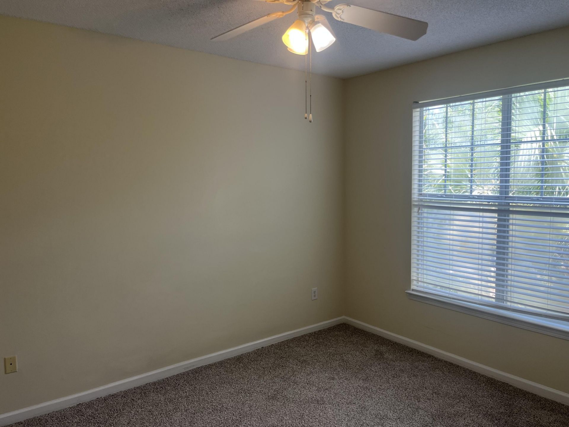 45 Sycamore Avenue Photo 6
