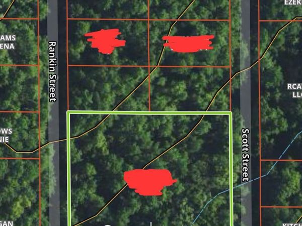 Scott Street, Brandon, MS 39042