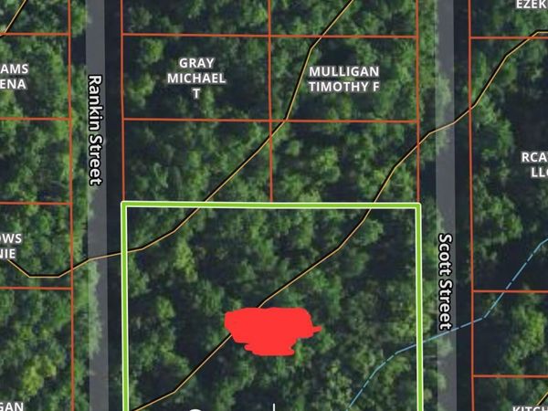 Scott Street, Brandon, MS 39042