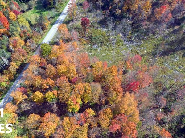 2209 Underpass Road, Sutton, VT 05867
