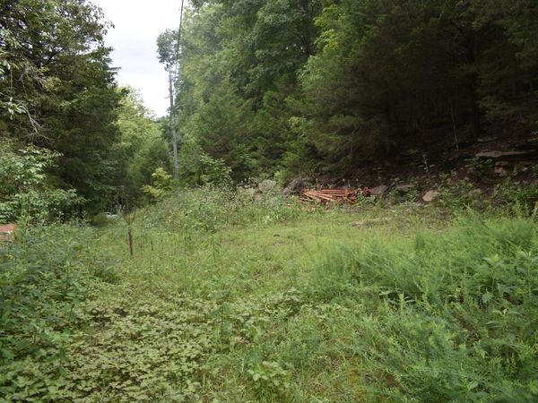 0 Ben Gentry Ln , Elmwood, TN 38560