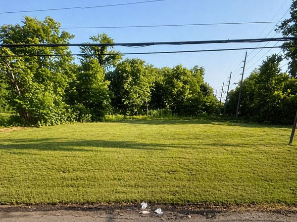 4049 Forest Boulevard , East St. Louis, IL 62204