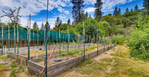 26156 Sweetland Rd, North San Juan, CA 95960 Photo