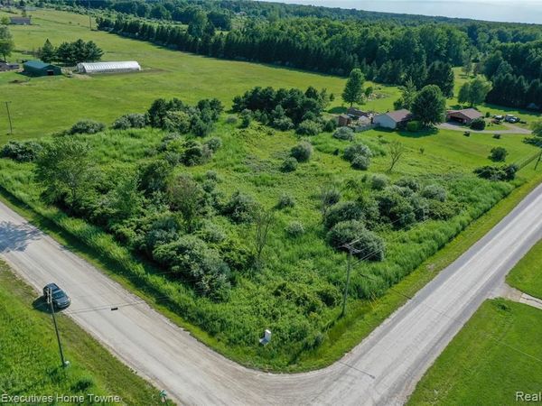 0000 Vincent, Grant Twp, MI 48032
