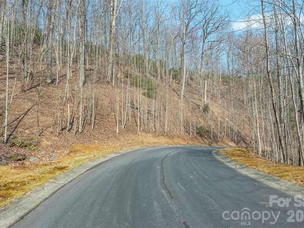 Lot 11 Shining Rock Path , Horse Shoe, NC 28742