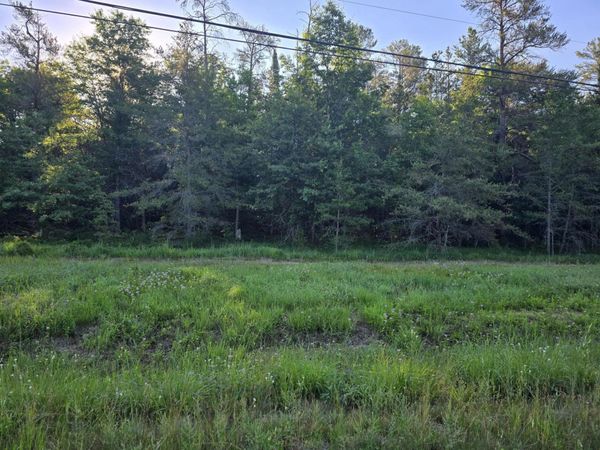 5.0 AC Joyce Kilmer Road, Roscommon, MI 48653
