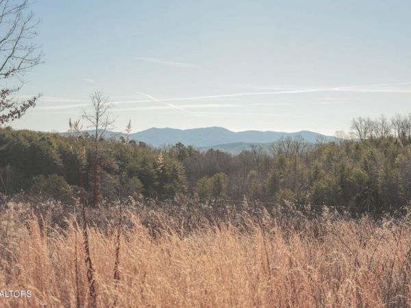 Lot 10 & 11 Curtis Rd, Tellico Plains, TN 37385