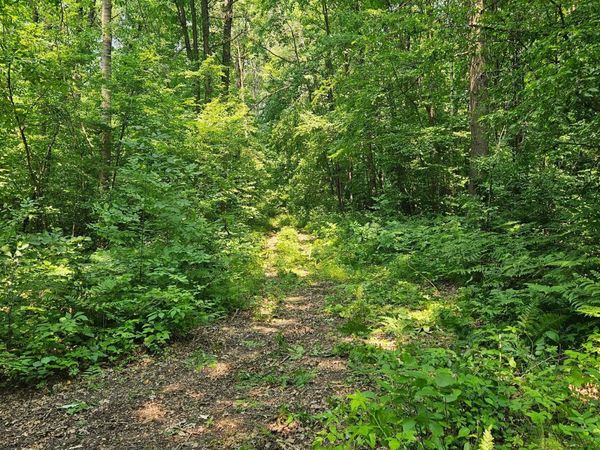 49 acres 16th Avenue , Cameron, WI 54822
