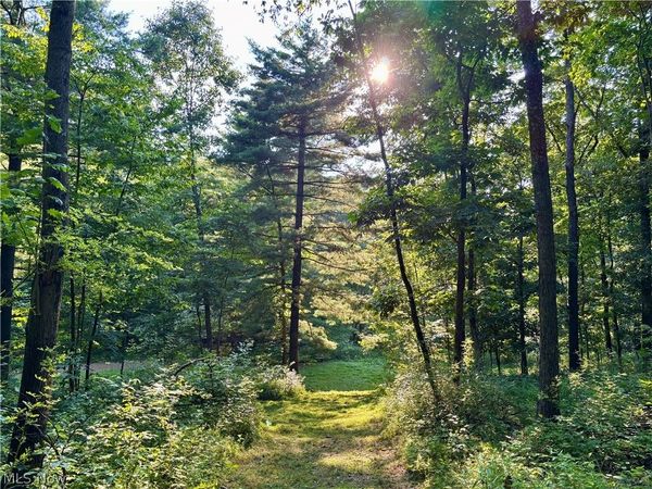 5620 Township Road 212 , Lakeville, OH 44638