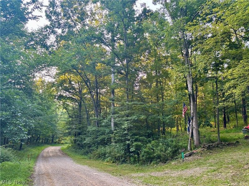 5620 Township Road 212, Lakeville, OH 44638 Photo 3