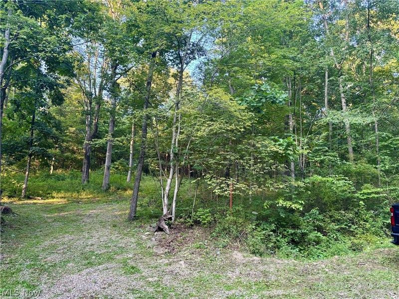 5620 Township Road 212, Lakeville, OH 44638 Photo 6