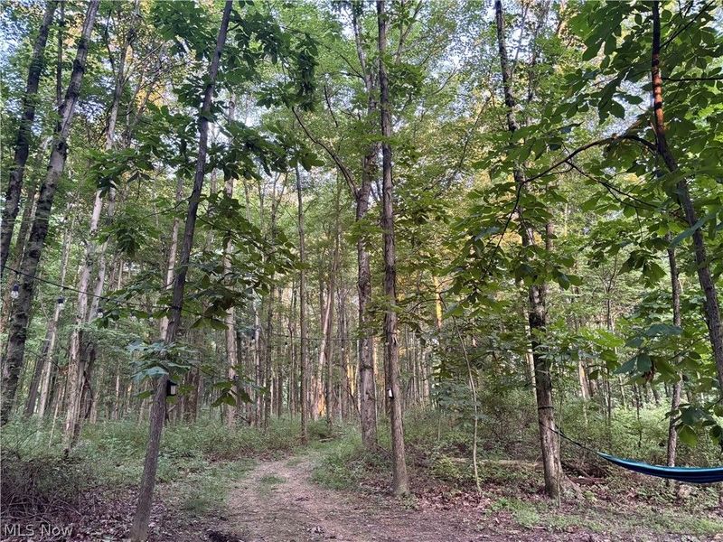 5620 Township Road 212, Lakeville, OH 44638 Photo 8