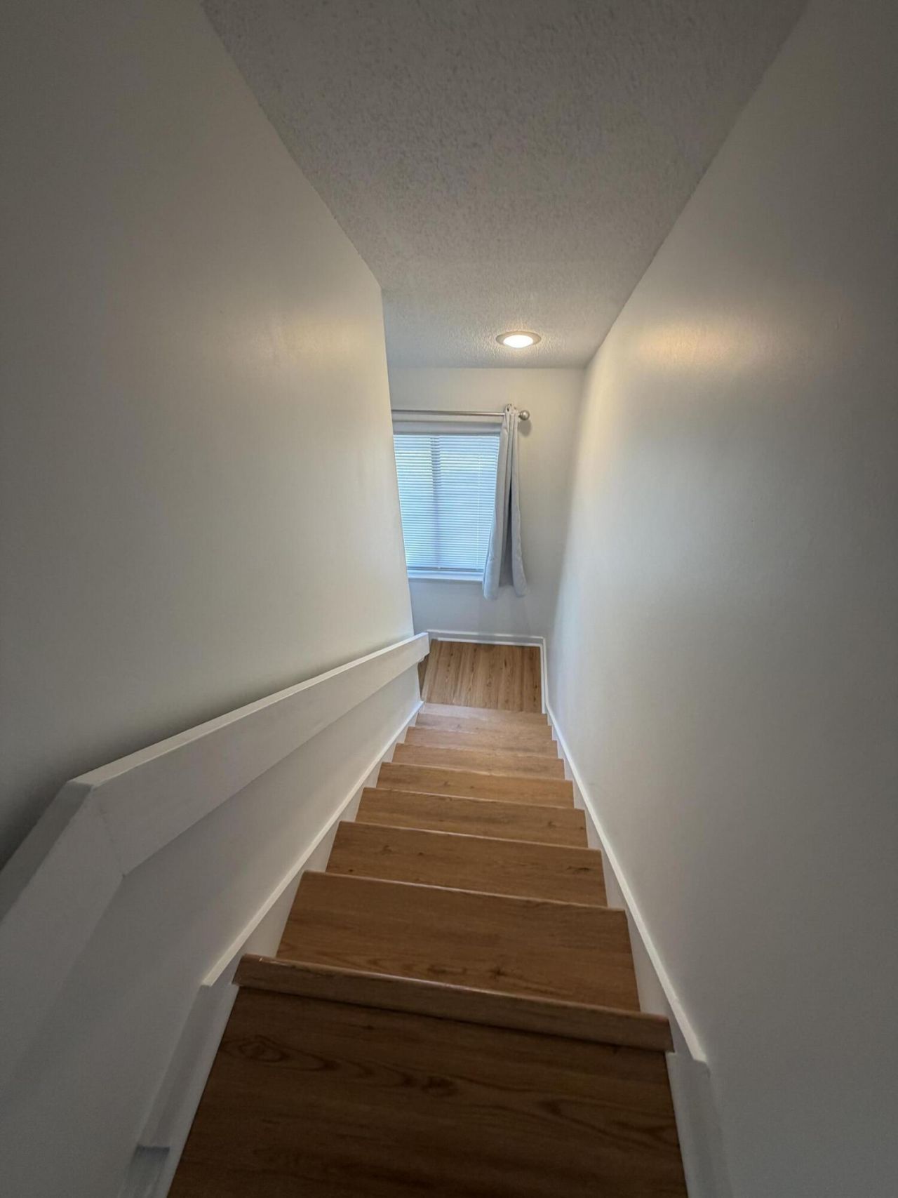 35 Maplecrest Drive Photo 48