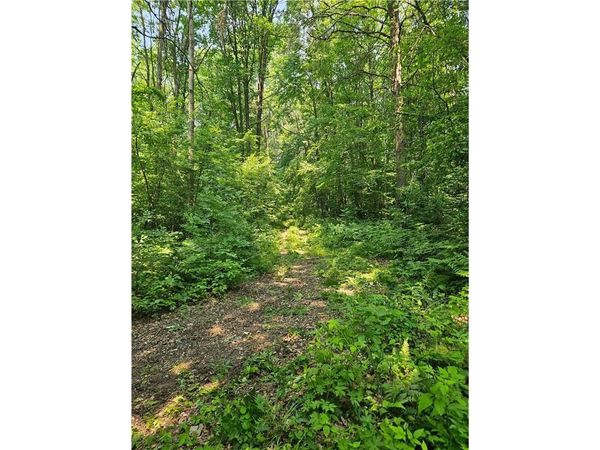 49 acres 16th Avenue, Cameron, WI 54822