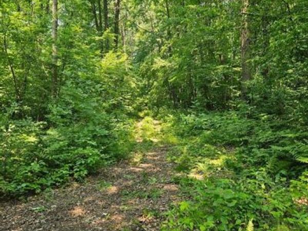 49 acres 16th Avenue, Cameron, WI 54822